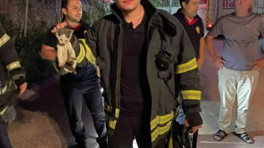 Yavru kedi gider borusunda sıkıştı!