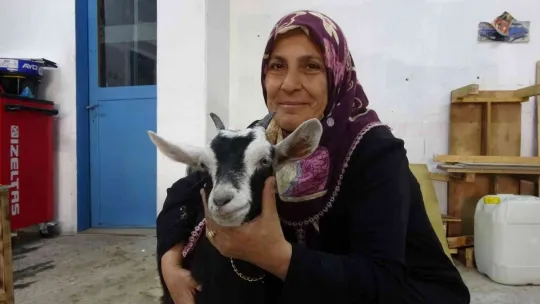 Yavruyken sahiplendi, yanından ayırmıyor