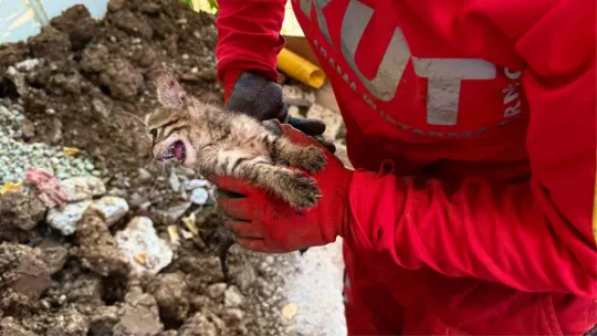 Yerin 2,5 metre altındaki 7 günlük esaret böyle sonlandı