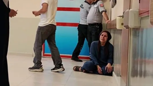 Yetiştirdiği arıların kurbanı oldu
