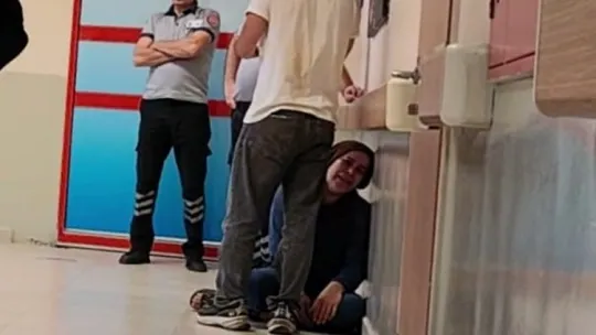 Yetiştirdiği arıların kurbanı oldu
