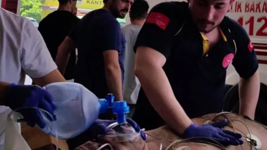 Yetiştirdiği arıların kurbanı oldu