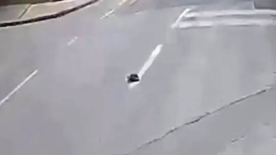 Kaplumbağayı ezilmekten kurtarmıştı: O anları anlattı