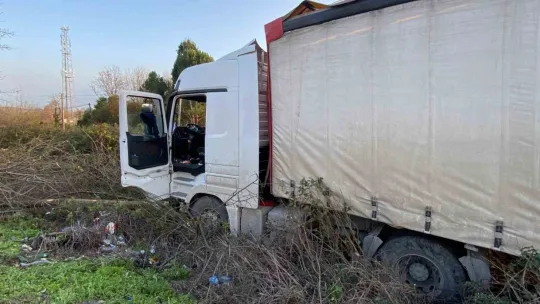 Yoldan çıkan tır, ağaçlık alana uçtu