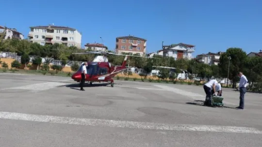 Yüksek gerilim hattına kapıldı helikopterle Kocaeli'ne getirildi