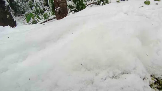 Kar kalınlığı 15 santime kadar ulaştı
