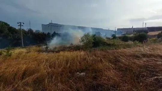 Yulaf tarlasında yangın