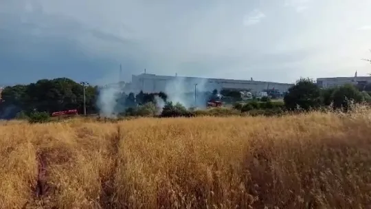 Yulaf tarlasında yangın