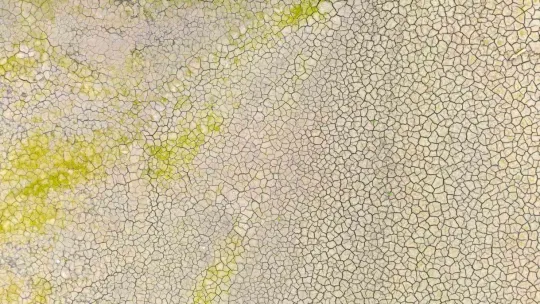 Yuvacık Barajı'nda 'can suyu' sevinci