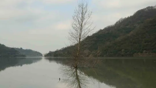 Yuvacık Barajı'nda kapaklar açıldı
