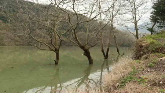 Yuvacık Barajı'nda kapaklar açıldı