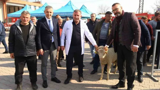 Yüzde 50 hibeli destekle çiftçiye koç ve teke veriliyor