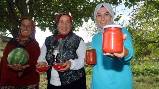 Yüzde 75 hibeli tarım desteği