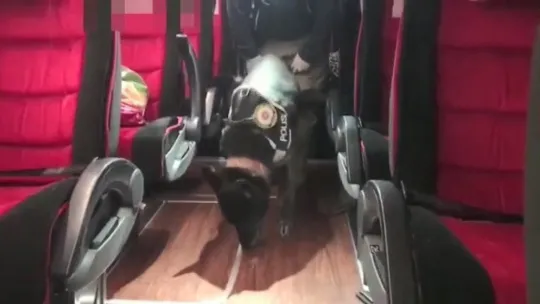 Zehir tacirlerinin yöntemi böyle deşifre oldu