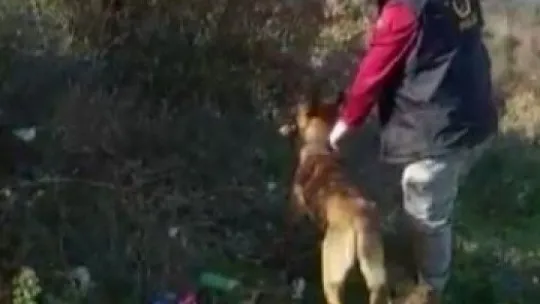 Zehir tacirlerinin uyuşturucuları bakın nereye sakladı!