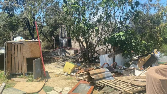 Zeytinlikte yangın çıktı, kulübe ve çok sayıda ağaç küle döndü
