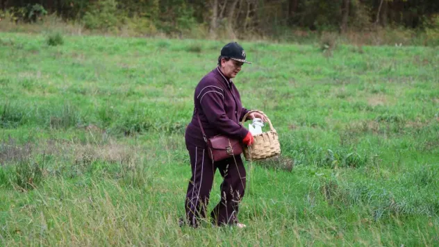 Doğaseverler Ormanya'nın zengin biyolojik çeşitliliğini keşfetti