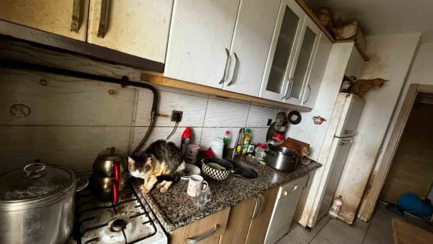 Kapı açılınca karşılaşılan manzara şoke etti