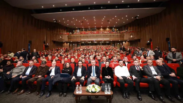 Kocaeli'ye Aşık Veysel Anı Evi inşa edilecek