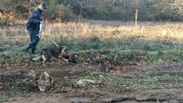 Kaybolan adamı 96 kişilik ekip arıyor