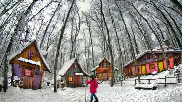 Ormanya beyaz örtüyle kaplandı
