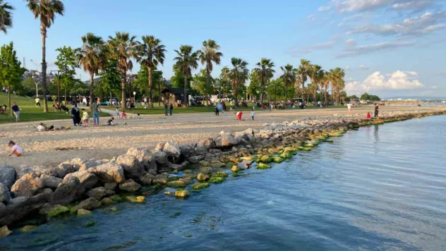 Sekapark'ta dev yılanı böyle görüntülediler