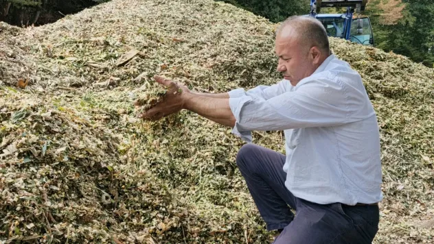 Silajda yüzde 30'luk verim kaybı sıfırlandı