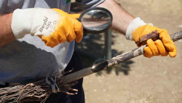 Temizlik işçisinin sıra dışı yeteneği: Güneşi kalem gibi kullanıyor