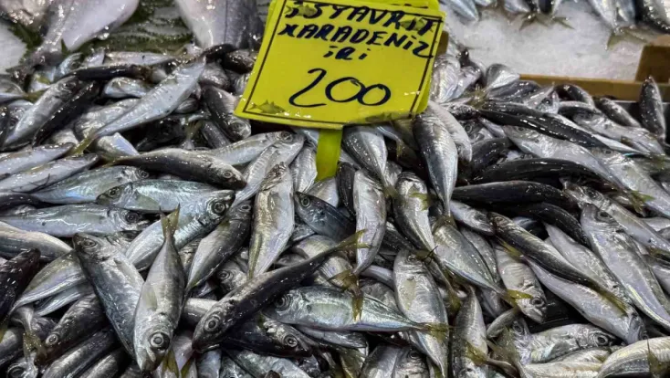 Kocaeli’de balık tezgahlarındaki son durum