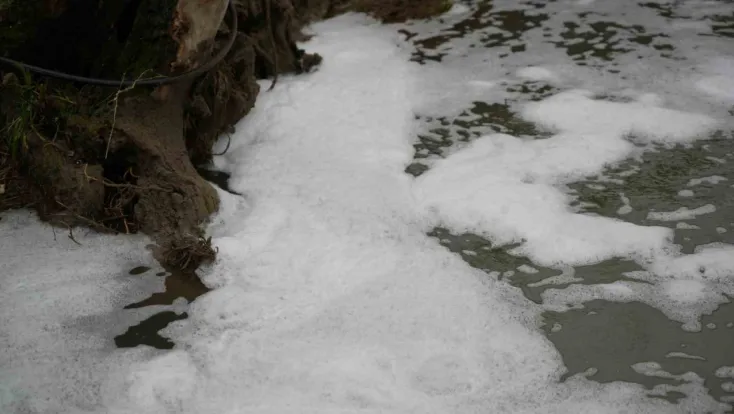 Köpüren dereden ağır kokular yükseliyor