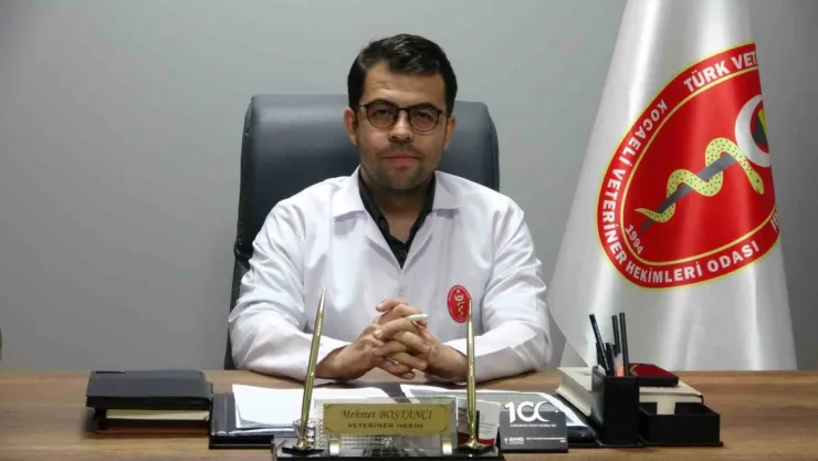 Veteriner Hekimleri Odası Başkanı: Valiliğin açıklaması farklı noktalara çekildi