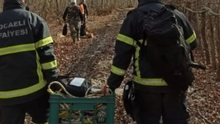 30 metre derinlikten vadiye düşen Boncuk'a kurtarma operasyonu
