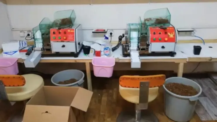 Baskınlarda binlerce kaçak makaron ele geçirildi