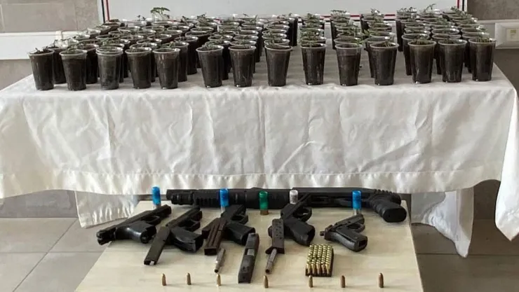 580 kök kenevir bitkisi ele geçirildi
