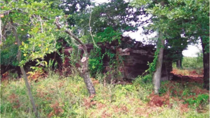 700 yıllık tarihi miras yeniden hayat buluyor