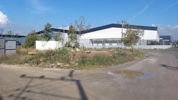 Ağaçların altına bile moloz dökmüşler