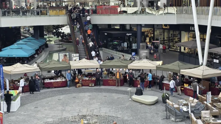 Antikacılardan tepki: Festivalin iptaliyle dolandırıcı durumuna düşürüldük