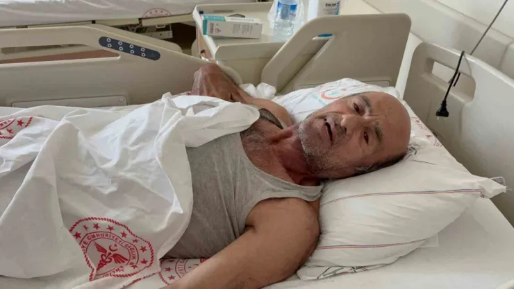 Ayı saldırısına uğradı