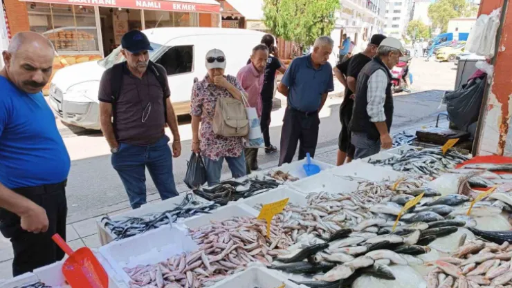 Balıkçı tezgahının bu sezonki starı 'hamsi'