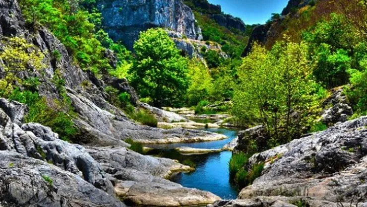 Ballıkayalar için 5 ağaç kesilecekmiş