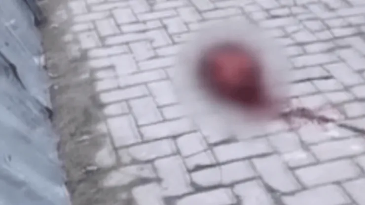 Balta ile kestiği arkadaşının kafasını sokağa fırlattı