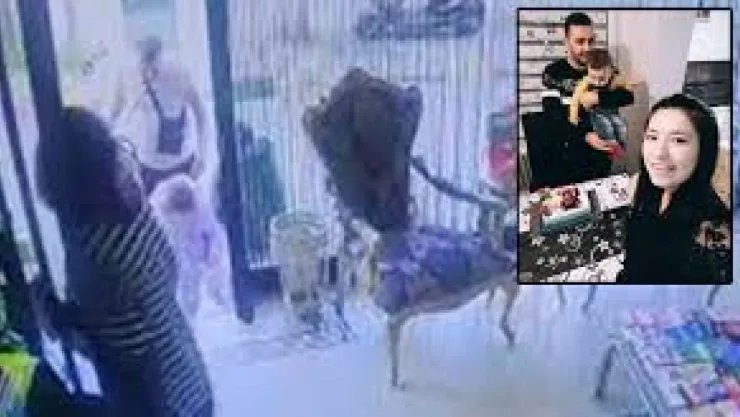 Böcek ailesinin soruşturmasına ilişkin detaylar savcılığın sevk yazısında ortaya çıktı