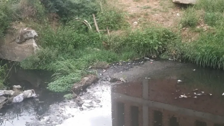 Bu dereyi kimse görmüyor mu?