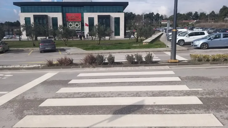 Bu yaya geçidi görenleri hayrete düşürüyor