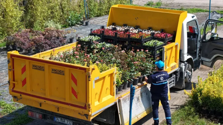 Büyükşehir'in fidanlığı Kocaeli'ni yeşillendiriyor