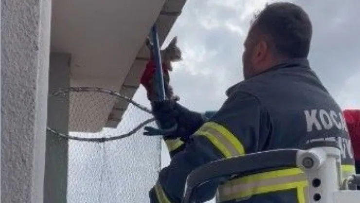 Çatı katında asılı kalan kedi, son anda kurtarıldı