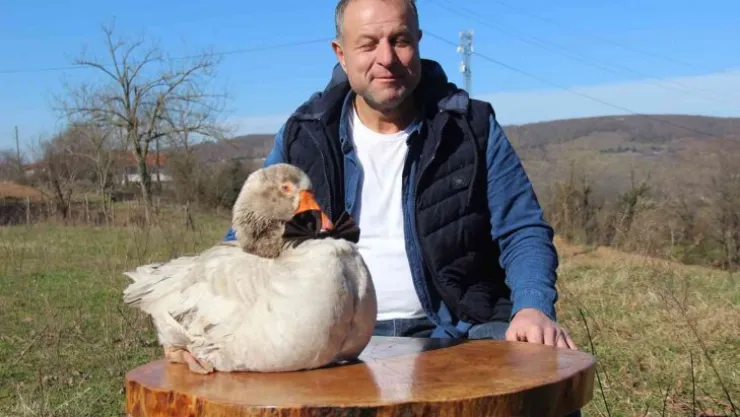 Papyonlu kazı ile birlikte şehir şehir geziyorlar