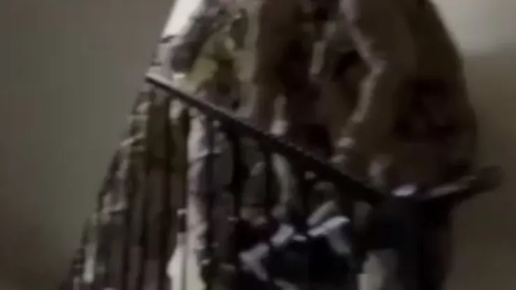 'Daltonlar' suç örgütüne operasyon: Çok sayıda gözaltı