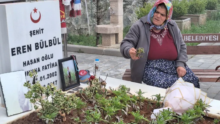 DEM Parti'den Eren Bülbül açılımı!