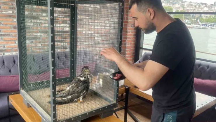 Denizde buldukları yırtıcı kuşu ısıtıp bonfile ile besledikten sonra doğaya bıraktılar